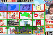 【日向坂46】若林さん「みーぱんは漢字があんまりだもんな」【潜在能力テスト】