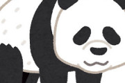 友人はパンダが好きでパンダグッズなども結構集めていたが実は私はパンダを可愛いと思ったことがない。正直目が苦手。私がパンダを可愛いと思ってないことを知った友人