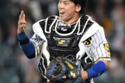 阪神の梅野ってFAしたらどこか取るの？