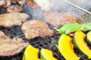 私「BBQするときの音楽はうるさいのでやめてくださいね…」奥さん「ごめんなさい（泣」私（泣くなよ…）すると次の日からとんでもないことが…