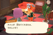 【あつまれどうぶつの森】どうぶつ永住できる方法ないかな？勝手に引っ越しされたらショックだわ…