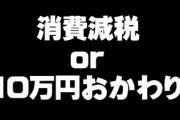 消費減税と10万円給付おかわり、どっちがいい？
