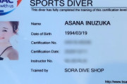 ダイビングのライセンスカードってπみせないといけないのか・・・