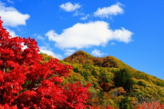 加工されまくりの目が痛くなる気持ち悪い紅葉の画像を見せられて困る