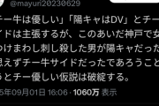 【悲報】チー牛「チー牛は優しい。陽キャはDV」女さん「んなわけあるか！神戸刺殺事件の男はチー牛側だろ」