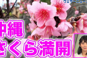 【驚愕】ウェザーニュース民の75%、高卒以下だった?