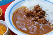 カレーって甘い食べ物以外なら何のっけても美味いんじゃないか？