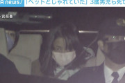 「毛むくじゃらと戯れていた」3歳男児ら2人死亡事故で運転の女カス。運転中にペットと遊んだか