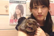 元HKT48　植木南央さんの愛犬 サクちゃん天国へ