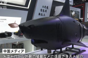 中国の軍事博覧会に魚そっくり水中ドローン登場、敵の偵察などに活用…ロボシャークも展示！