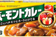 ハウスバーモントカレーを箱に書いてある通りに作ったら──