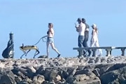 ボストンダイナミクスのロボットを散歩させている女性が見つかる。