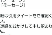 【悲報】本日発売されたSwitchのゲーム、『ソ』が含まれる名前で開始するとフリーズするバグが発生
