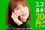 格安スマホ←年間15000円、三大携帯キャリア←年間10万円