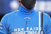 ゲンダイ「ハムはトライアウトとか言って2年捨てたけど活躍してるのは外様ばかり。万波しか成長してない」