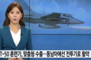 韓国人「韓国式『T-50訓練機』が東南アジアで大人気に！」オーダーメード型輸出…東南アジアでは実戦用戦闘機として活躍　韓国の反応