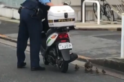 【動画】心の優しい警察官、見つかる
