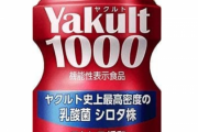【緊急】ヤクルト1000、ガチで効果がすごい