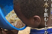 アフリカの子供達「水汲みの往復に毎日何時間もかかるんよ…」←こいつらが水辺に引っ越さない理由