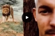 ライオンとフレンドリーな関係の男性が海外で話題に