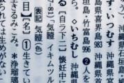 【朗報】えっちすぎる「動詞」が発見されてしまう