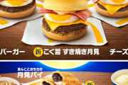 マック「月見バーガー今年もやります！」　日本人「うおおおおおおお！！！！」