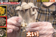 【悲報】芦田愛菜さん、キノコを触りはしゃぐｗｗｗｗｗｗｗｗｗｗｗ
