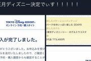 ディズニーランド一泊二日のお値段、ヤバすぎるｗｗｗｗｗｗｗｗｗｗｗ