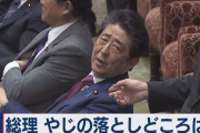 P安倍晋三～日本を取り戻せるのか、本当にお前～