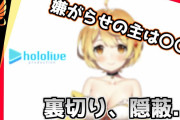 Vtuber 【鳴神裁】夜空メルに嫌がらせをしていた人物の正体を暴露【動画】これまじ？