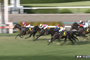 【ポートアイランドS】ドーブネ＆吉田隼人騎手がﾀ━━━━(ﾟ∀ﾟ)━━━━!!