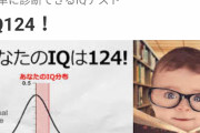 このiq診断難しくてマジっぽいよ