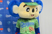 【悲報】中日ドラゴンズ、カビが生える