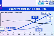 「未婚化対策こそ少子化対策のカギ！」収入と結婚の密接な関係性に迫る
