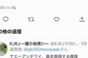 【悲報】バイク乗りさん、Twitterでバイク女子に絡むも醜態を晒してしまうｗｗｗｗｗｗｗｗｗｗｗ