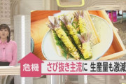さび抜き主流で“ワサビ離れ” 若い世代「嫌い」「おいしくない」