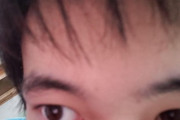 俺の眉毛って何とかした方いいのか？（※画像あり）