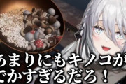 【にじさんじ】ソフィの音割れ炒飯マスターが面白すぎたｗ「あまりにもキノコがデカすぎるだろ！」