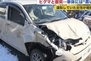 【北海道】車の目の前に"ヒグマ"現れ衝突・大破…20代女性顔面にケガ 車体には黒い毛も 体長約2メートル姿消す