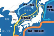 【日本処理水】韓国政府vs教授が勃発！教授「5ヶ月後に韓国海域に流入する」政府「正しくは10年後に韓国基準10万分の1レベルで蓄積」