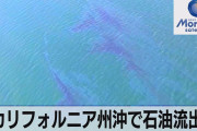 カルフォルニアの沖合で重油大量流出　何十年もかけた生息地一日で破壊