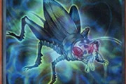 遊戯王って今話題になってるコオロギのカードないの？