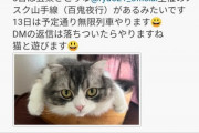 【朗報】反ワク煉獄さん、3日ぶりにTwitter復活へｗｗｗｗ