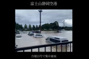 【画像】静岡空港に停められてた車、台風でまとめて逝く....