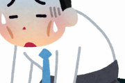 28歳で手取り21万弱って明らかに低いよな