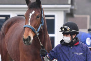 普段は真面目でやさしい牝馬　メイケイエール