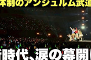 【動画】【若返り】アンジュルム新体制の武道館がガチのマジでヤバすぎた
