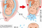 赤ちゃんが産まれてくる時に泣く理由ｗｗｗｗｗｗｗｗｗｗｗｗｗｗｗｗ