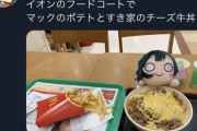 【悲報】チー牛さん、フードコートで食べ物に人形並べてはしゃいでしまう ｗｗｗｗｗｗｗｗw