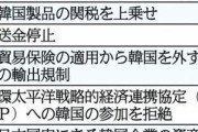 【韓国】文政権「徴用工」蒸し返し…日本企業の資産現金化ﾁﾗつかせ 山田副幹事長「最終的には『国交断絶』も排除できない」